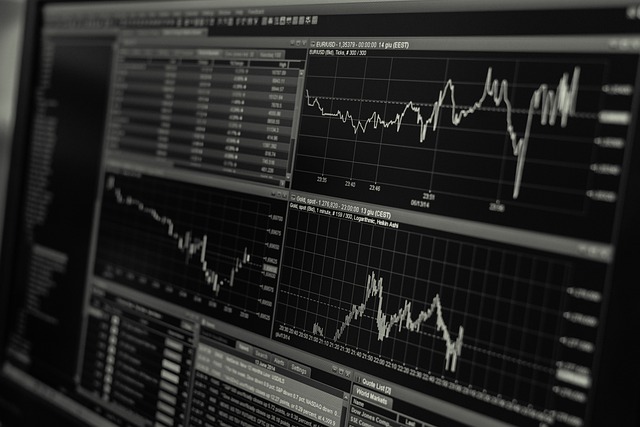 Verificare la Solidità Finanziaria di una Società Come Valutare la Sua Stabilità